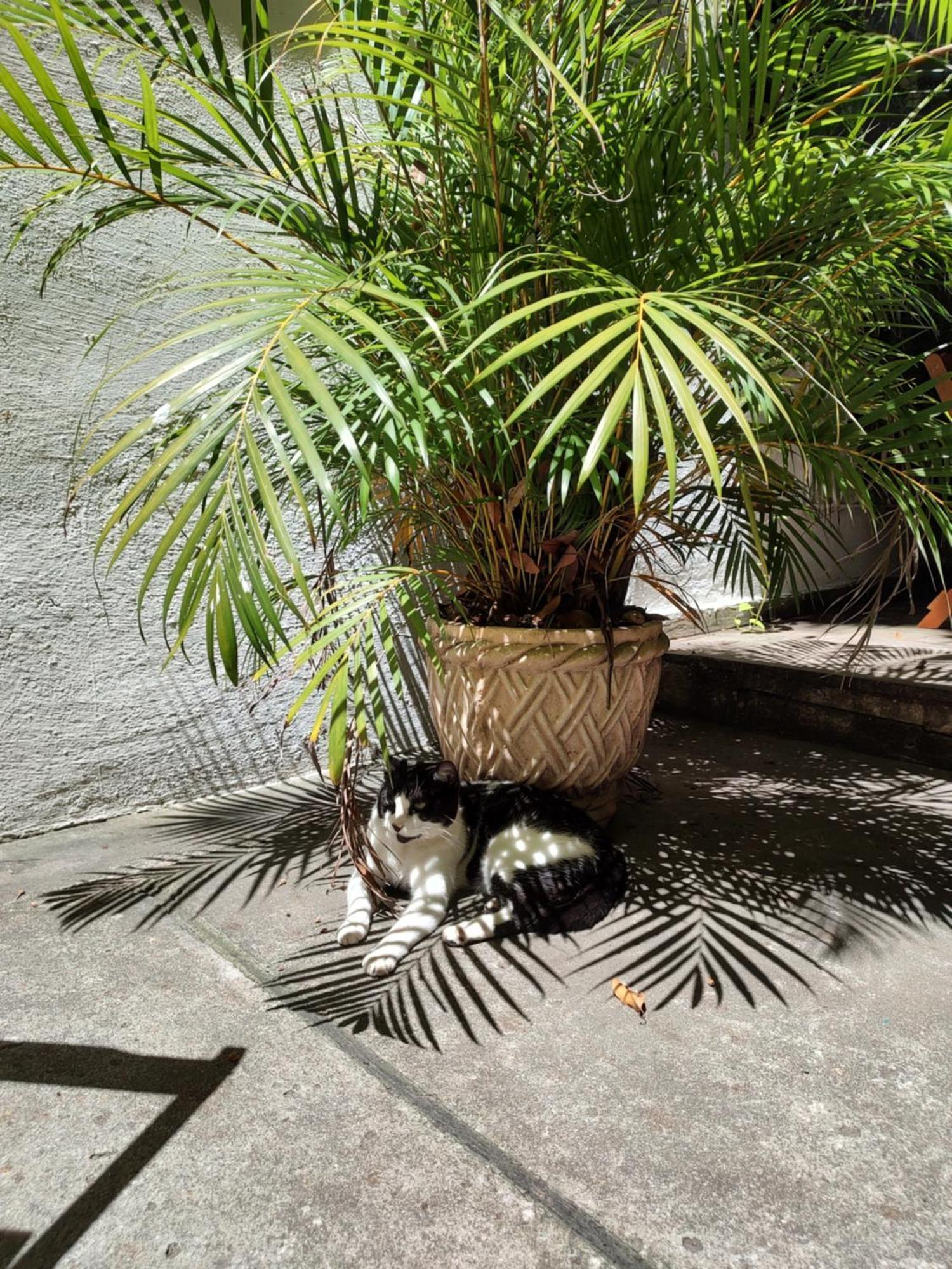 Hospedaria Rio Rio de Janeiro Ngoại thất bức ảnh